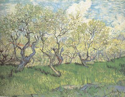 Vincent Van Gogh Orchard in Blossom (nn04) France oil painting art